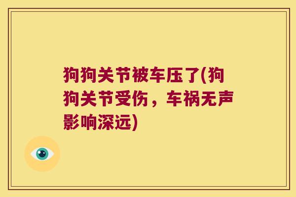 狗狗关节被车压了(狗狗关节受伤，车祸无声影响深远)