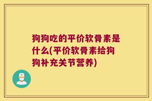 狗狗吃的平价软骨素是什么(平价软骨素给狗狗补充关节营养)