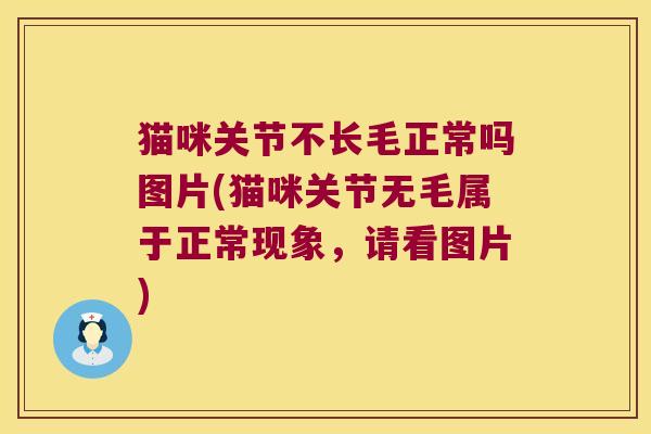 猫咪关节不长毛正常吗图片(猫咪关节无毛属于正常现象,请看图片) 猫咪关节不长毛正常吗图片(猫咪关节无毛属于正常现象,请看图片)