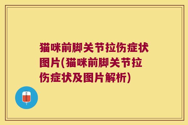 猫咪前脚关节拉伤症状图片(猫咪前脚关节拉伤症状及图片解析) 猫咪前脚关节拉伤症状图片(猫咪前脚关节拉伤症状及图片解析)