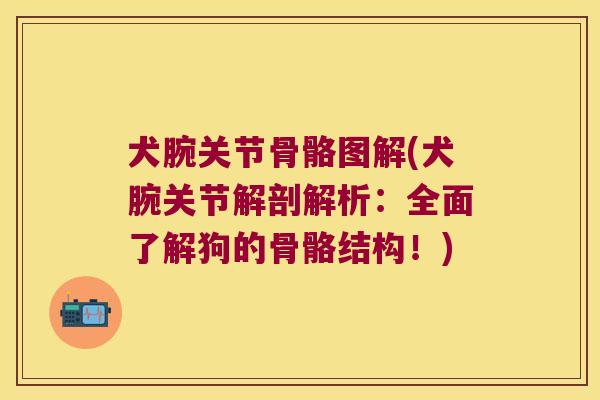 犬腕关节骨骼图解(犬腕关节解剖解析:全面了解狗的骨骼结构!) 犬腕关节骨骼图解(犬腕关节解剖解析:全面了解狗的骨骼结构!)