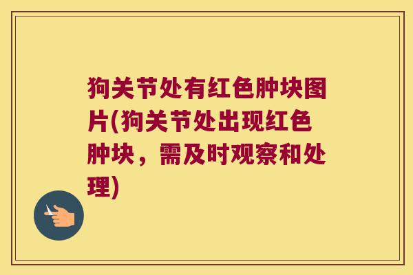 狗关节处有红色肿块图片(狗关节处出现红色肿块,需及时观察和处理) 狗关节处有红色肿块图片(狗关节处出现红色肿块,需及时观察和处理)