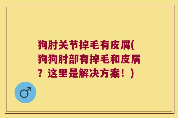 狗肘关节掉毛有皮屑(狗狗肘部有掉毛和皮屑？这里是解决方案！)