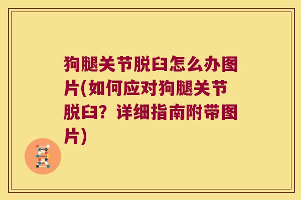狗腿关节脱臼怎么办图片(如何应对狗腿关节脱臼？详细指南附带图片)