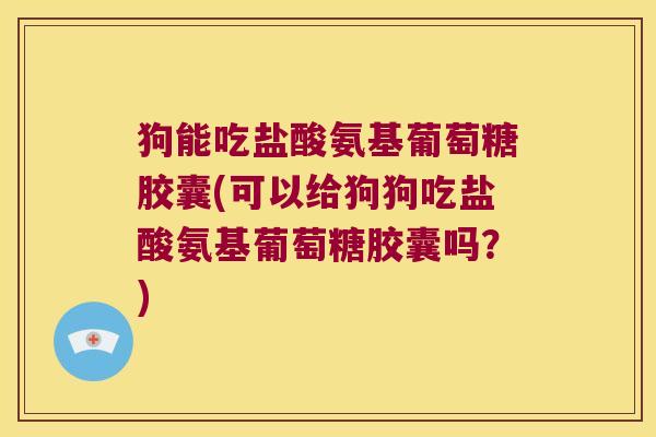 狗能吃盐酸氨基葡萄糖胶囊(可以给狗狗吃盐酸氨基葡萄糖胶囊吗？)