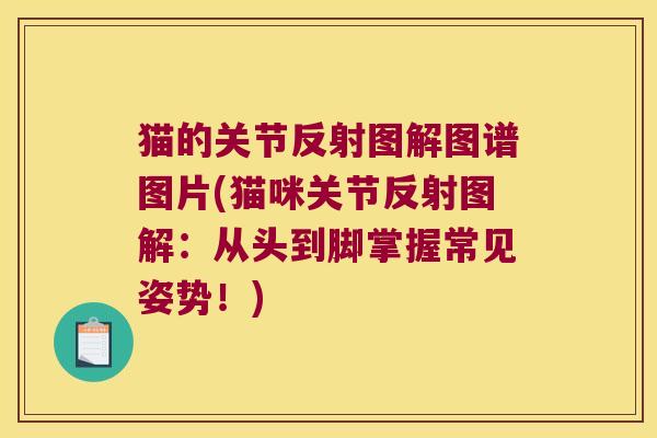 猫的关节反射图解图谱图片(猫咪关节反射图解：从头到脚掌握常见姿势！)