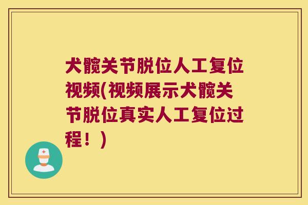 犬髋关节脱位人工复位视频(视频展示犬髋关节脱位真实人工复位过程！)
