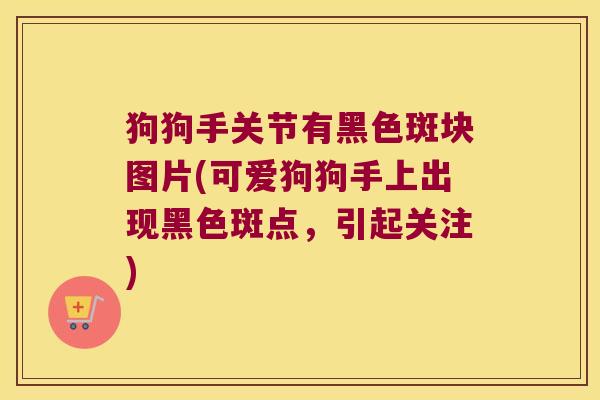 狗狗手关节有黑色斑块图片(可爱狗狗手上出现黑色斑点,引起关注) 狗狗手关节有黑色斑块图片(可爱狗狗手上出现黑色斑点,引起关注)