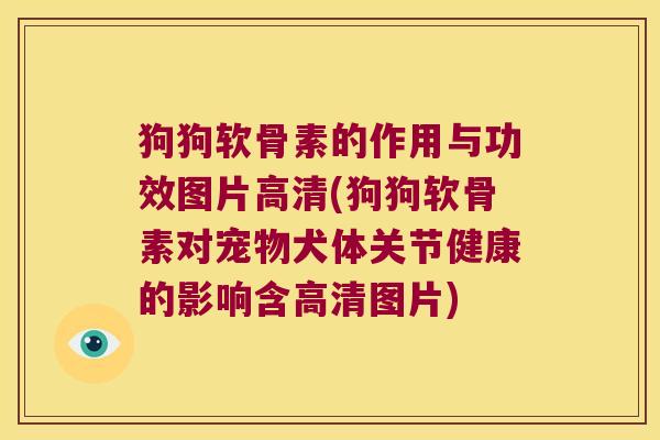 狗狗软骨素的作用与功效图片高清(狗狗软骨素对宠物犬体关节健康的影响含高清图片) 狗狗软骨素的作用与功效图片高清(狗狗软骨素对宠物犬体关节健康的影响含高清图片)
