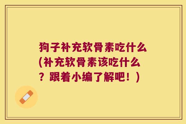 狗子补充软骨素吃什么(补充软骨素该吃什么？跟着小编了解吧！)