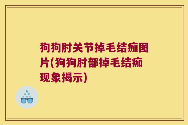狗狗肘关节掉毛结痂图片(狗狗肘部掉毛结痂现象揭示)