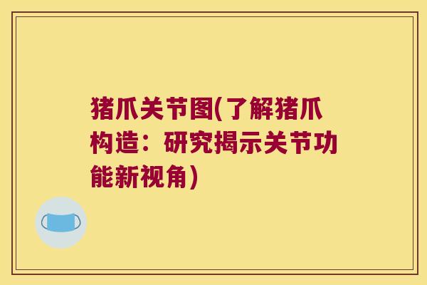 猪爪关节图(了解猪爪构造：研究揭示关节功能新视角)