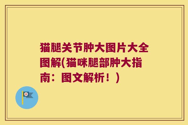 猫腿关节肿大图片大全图解(猫咪腿部肿大指南:图文解析!) 猫腿关节肿大图片大全图解(猫咪腿部肿大指南:图文解析!)