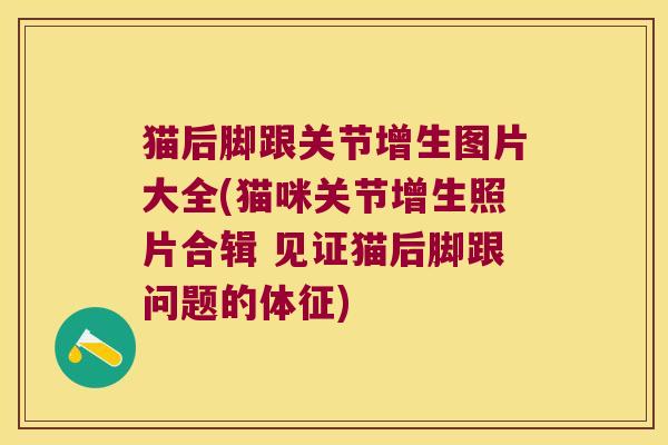 猫后脚跟关节增生图片大全(猫咪关节增生照片合辑 见证猫后脚跟问题的体征)