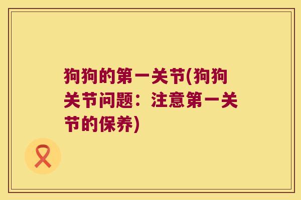 狗狗的第一关节(狗狗关节问题：注意第一关节的保养)