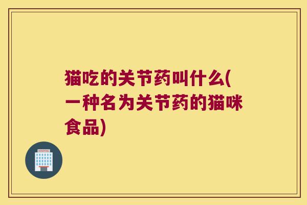 猫吃的关节药叫什么(一种名为关节药的猫咪食品)