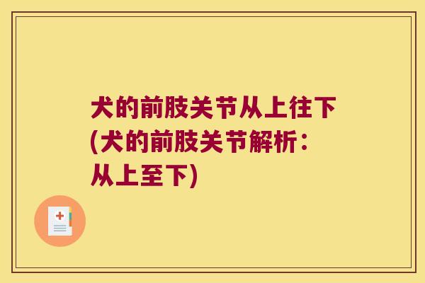 犬的前肢关节从上往下(犬的前肢关节解析：从上至下)