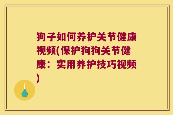 狗子如何养护关节健康视频(保护狗狗关节健康：实用养护技巧视频)