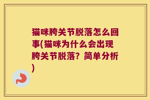 猫咪胯关节脱落怎么回事(猫咪为什么会出现胯关节脱落?简单分析) 猫咪胯关节脱落怎么回事(猫咪为什么会出现胯关节脱落?简单分析)