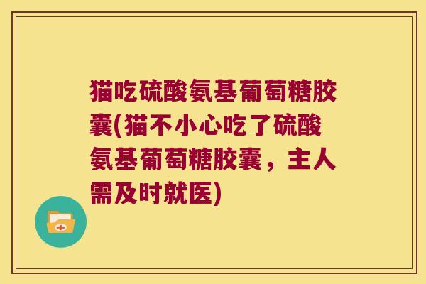 猫吃硫酸氨基葡萄糖胶囊(猫不小心吃了硫酸氨基葡萄糖胶囊，主人需及时就医)