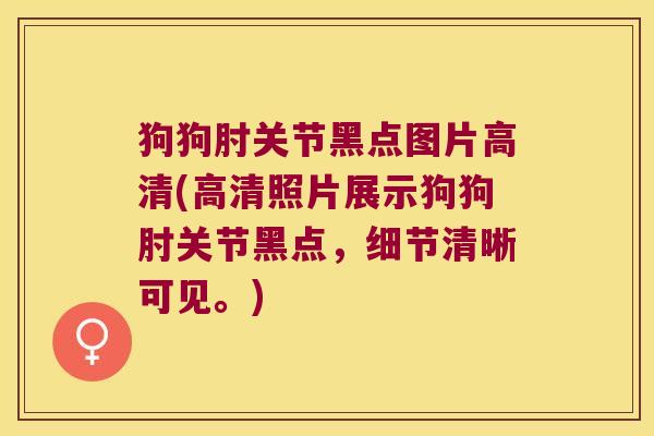 狗狗肘关节黑点图片高清(高清照片展示狗狗肘关节黑点,细节清晰可见。) 狗狗肘关节黑点图片高清(高清照片展示狗狗肘关节黑点,细节清晰可见。)
