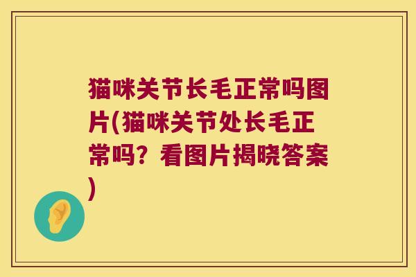 猫咪关节长毛正常吗图片(猫咪关节处长毛正常吗？看图片揭晓答案)