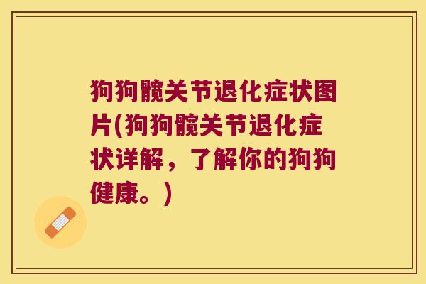 狗狗髋关节退化症状图片(狗狗髋关节退化症状详解,了解你的狗狗健康。) 狗狗髋关节退化症状图片(狗狗髋关节退化症状详解,了解你的狗狗健康。)