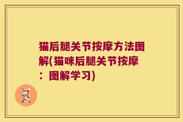 猫后腿关节按摩方法图解(猫咪后腿关节按摩：图解学习)