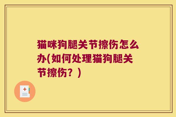猫咪狗腿关节擦伤怎么办(如何处理猫狗腿关节擦伤?) 猫咪狗腿关节擦伤怎么办(如何处理猫狗腿关节擦伤?)