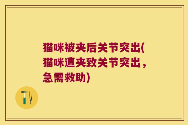 猫咪被夹后关节突出(猫咪遭夹致关节突出，急需救助)