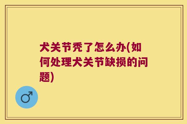 犬关节秃了怎么办(如何处理犬关节缺损的问题) 犬关节秃了怎么办(如何处理犬关节缺损的问题)