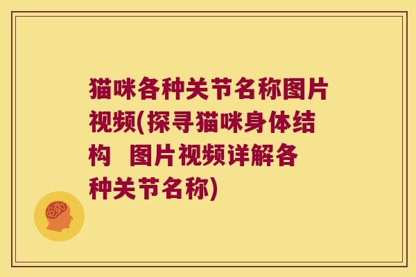 猫咪各种关节名称图片视频(探寻猫咪身体结构 图片视频详解各种关节名称) 猫咪各种关节名称图片视频(探寻猫咪身体结构 图片视频详解各种关节名称)