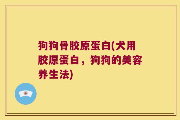 狗狗骨胶原蛋白(犬用胶原蛋白,狗狗的美容养生法) 狗狗骨胶原蛋白(犬用胶原蛋白,狗狗的美容养生法)