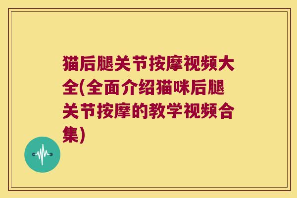 猫后腿关节按摩视频大全(全面介绍猫咪后腿关节按摩的教学视频合集)