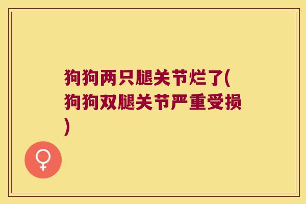狗狗两只腿关节烂了(狗狗双腿关节严重受损)