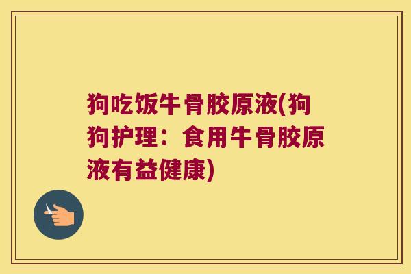 狗吃饭牛骨胶原液(狗狗护理:食用牛骨胶原液有益健康) 狗吃饭牛骨胶原液(狗狗护理:食用牛骨胶原液有益健康)