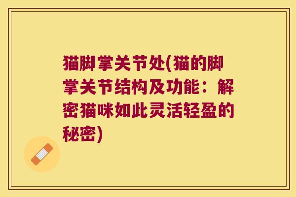 猫脚掌关节处(猫的脚掌关节结构及功能:解密猫咪如此灵活轻盈的秘密) 猫脚掌关节处(猫的脚掌关节结构及功能:解密猫咪如此灵活轻盈的秘密)