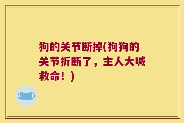 狗的关节断掉(狗狗的关节折断了，主人大喊救命！)