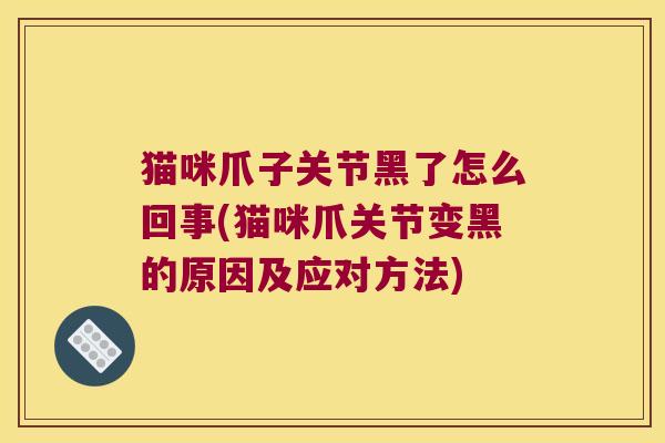 猫咪爪子关节黑了怎么回事(猫咪爪关节变黑的原因及应对方法)
