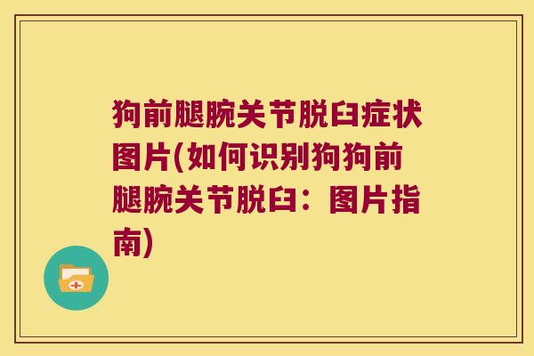 狗前腿腕关节脱臼症状图片(如何识别狗狗前腿腕关节脱臼:图片指南) 狗前腿腕关节脱臼症状图片(如何识别狗狗前腿腕关节脱臼:图片指南)