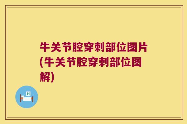 牛关节腔穿刺部位图片(牛关节腔穿刺部位图解)