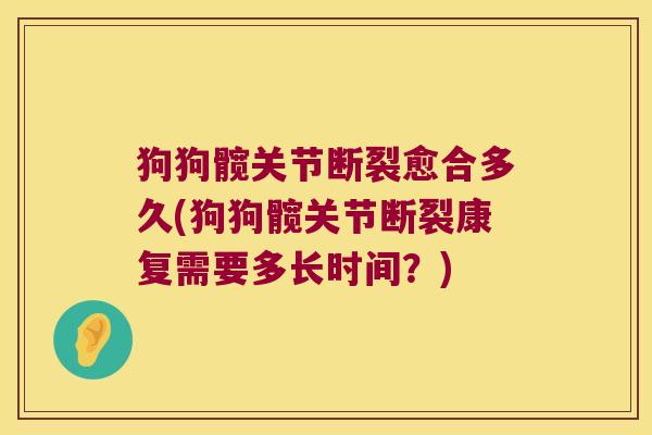 狗狗髋关节断裂愈合多久(狗狗髋关节断裂康复需要多长时间?) 狗狗髋关节断裂愈合多久(狗狗髋关节断裂康复需要多长时间?)