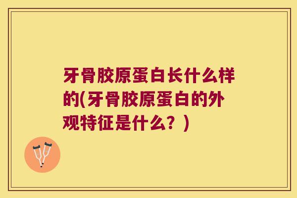 牙骨胶原蛋白长什么样的(牙骨胶原蛋白的外观特征是什么？)