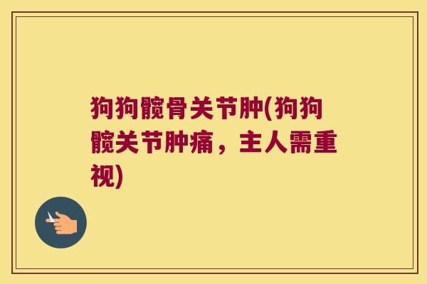 狗狗髋骨关节肿(狗狗髋关节肿痛,主人需重视) 狗狗髋骨关节肿(狗狗髋关节肿痛,主人需重视)