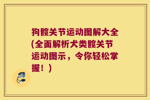 狗髋关节运动图解大全(全面解析犬类髋关节运动图示，令你轻松掌握！)