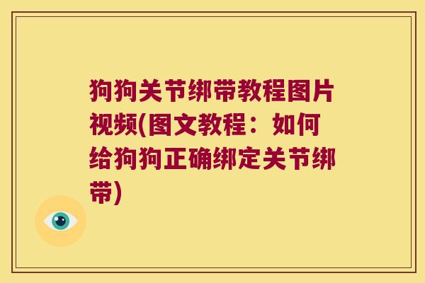 狗狗关节绑带教程图片视频(图文教程：如何给狗狗正确绑定关节绑带)