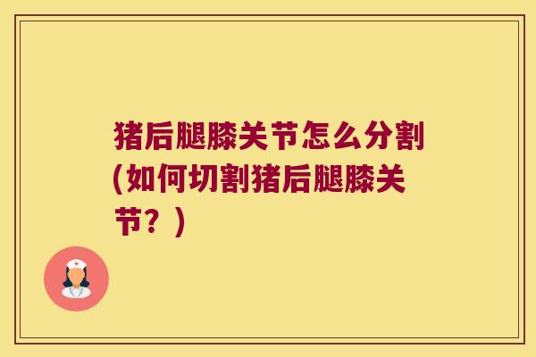 猪后腿膝关节怎么分割(如何切割猪后腿膝关节?) 猪后腿膝关节怎么分割(如何切割猪后腿膝关节?)