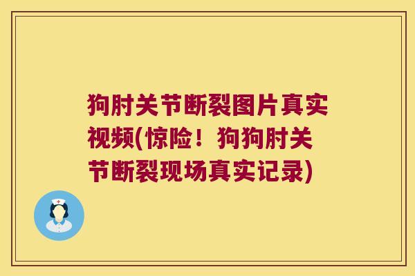 狗肘关节断裂图片真实视频(惊险!狗狗肘关节断裂现场真实记录) 狗肘关节断裂图片真实视频(惊险!狗狗肘关节断裂现场真实记录)