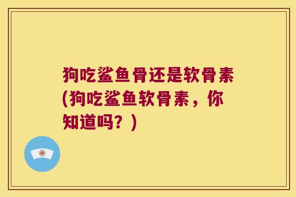 狗吃鲨鱼骨还是软骨素(狗吃鲨鱼软骨素，你知道吗？)