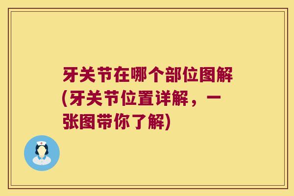 牙关节在哪个部位图解(牙关节位置详解,一张图带你了解) 牙关节在哪个部位图解(牙关节位置详解,一张图带你了解)